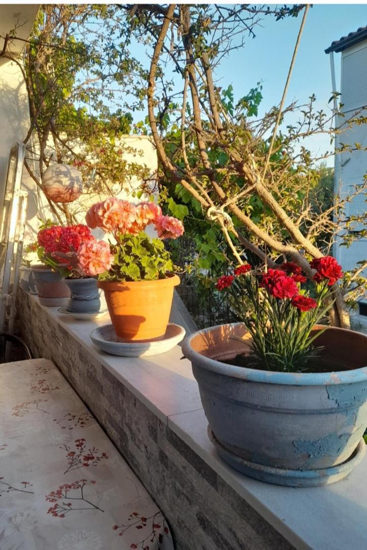 Cozy Maisonette In Pefkochori Chalkidiki Bagian luar foto
